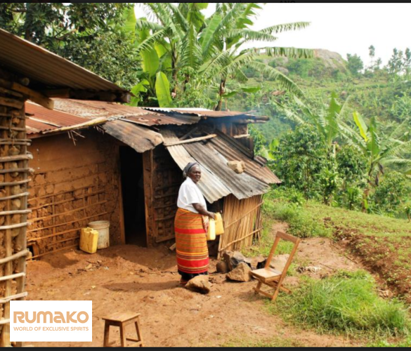 Mountain Gorilla - Blackback 1 kg - zrnková káva arabika a robusta na espreso