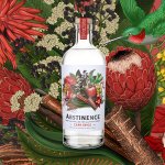 Abstinence GIN Cape Spice 0,0% 0,75l