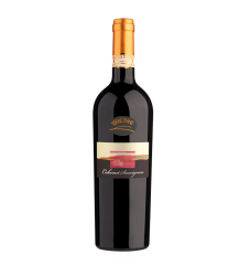 Terre Piane Cabernet Sauvignon DOC Venezia cert. SQNPI