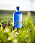 Gin 1689 42% 0,7l v dárkové krabičce