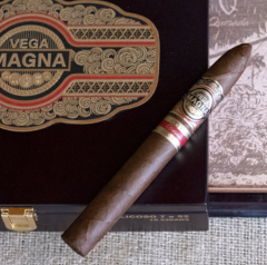 Vega Magna Robusto