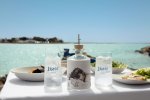8+1 J.Rose Flamenco Gin 43% 0,7l lahve JR012345689 + Flamenco jako DÁREK