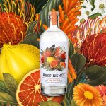 Abstinence GIN Cape Citrus 0,0% 0,75l