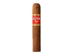 Joya Red Short Churchill