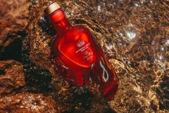 Gin 1689 The Queen Marry Edition 38,5% 0,7l