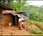 Mountain Gorilla - Blackback 1 kg - zrnková káva arabika a robusta na espreso