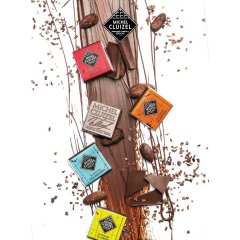 Výběrové degustační čokolády Michel Cluizel, 12ks