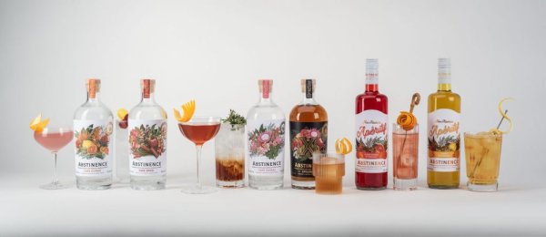 Abstinence GIN Cape Spice 0,0% 0,75l