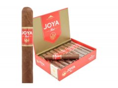 Joya Red Short Churchill
