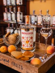 Marsen Marhulovica TRADITIONAL 42% 0,5l v dárkovém balení se skleničkou