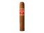 Joya Red Short Churchill