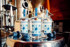 Marsen Slivovica TRADITIONAL 42% 0,5l v dárkové krabičce se skleničkou