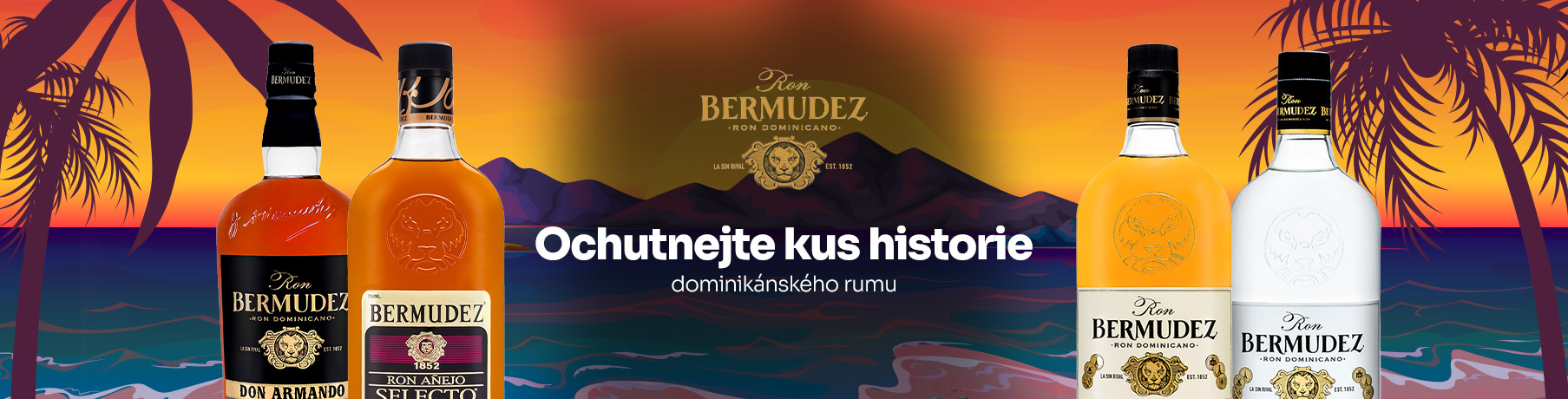 Rumy Bermudez